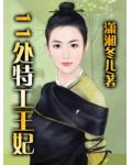 11处特工皇妃