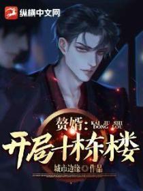 赘婿:开局十栋楼