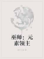 巫师:元素领主