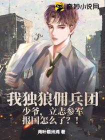 我独狼佣兵团少爷,立志参军报国怎么了?!