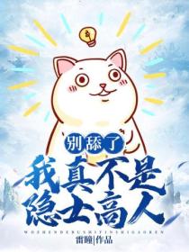别舔了,我真不是隐士高人
