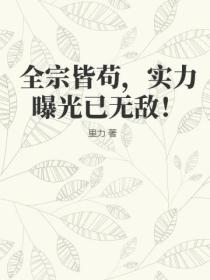 全宗皆苟,实力曝光已无敌!