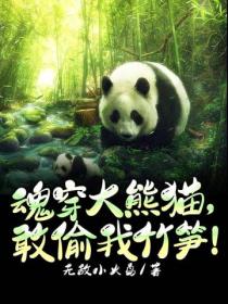 魂穿大熊猫,敢偷我竹笋!