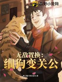 无敌置换:细狗变关公
