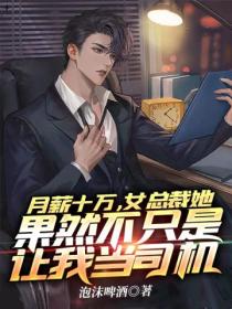 月薪十万,女总裁她果然不只是让我当司机