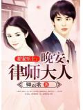妻宠至上：晚安，律师大人