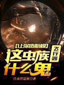 让你造航模,这虫族飞行器什么鬼