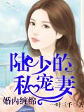 婚内缠绵:陆少的私宠妻