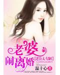老公太专制:老婆,闹离婚