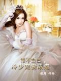 婚不由己:冷少宠妻成瘾