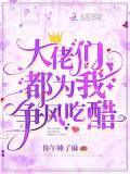 大佬们都为我争风吃醋