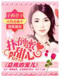 扑倒蜜甜心:总统的宠儿