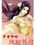 杀手傻妃:凤起苍穹