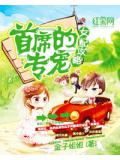 女配攻略:首席的专宠