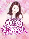 暗夜藏娇:总裁的秘密爱人