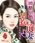 帅酷总裁:别惹前妻