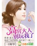 好孕上门:高官大人,别玩了