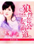 掠爱成欢：狼性老公太霸道
