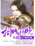 相贱恨晚:红妆公子纨绔妃