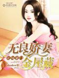 误闯豪门:无良娇妻金屋藏