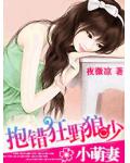 小萌妻:抱错狂野狼少