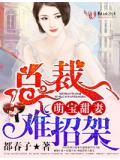 萌宝甜妻,总裁难招架