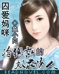 囚爱妈咪:豪门阔少的奴隶情人