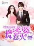 神秘老公霸道宠:老婆,太惹火