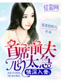 情深入骨:首席前夫心太急