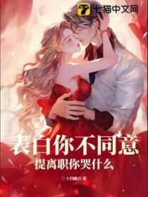 表白你不同意,提离职你哭什么