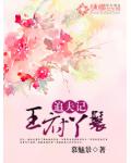 王府丫鬟追夫记