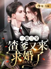 一胎三宝,渣爹又来求婚了