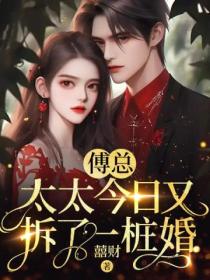 傅总,太太今日又拆了一桩婚