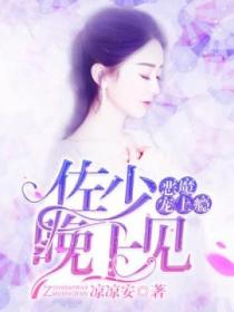 恶魔宠上瘾:佐少,晚上见