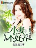惹爱成婚:小妻不好养