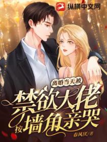 离婚当天,被禁欲大佬按墙角亲哭