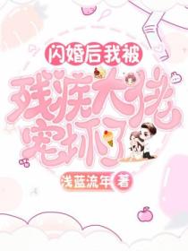 闪婚后,我被残疾大佬宠坏了