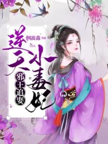 邪王追妻:逆天小毒妃