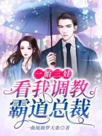 一胎三娃:看我调教霸道总裁