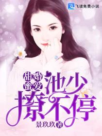 甜婚蜜爱:池少,撩不停