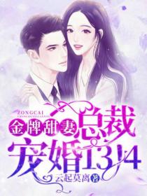金牌甜妻,总裁宠婚1314