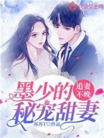 追妻不晚:墨少的秘宠甜妻