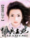 佣兵王妃