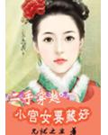杀手穿越:小宫女要藏好
