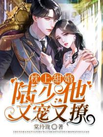 枕上甜婚:陆少他又宠又撩