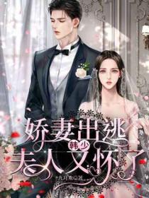 娇妻出逃:韩少,夫人又怀了