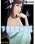 玉玲珑:下堂王妃不好惹