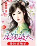 特种兵狼妃踹翻暴王:废物破天