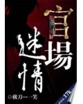 官场迷情