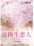 交换生恋人